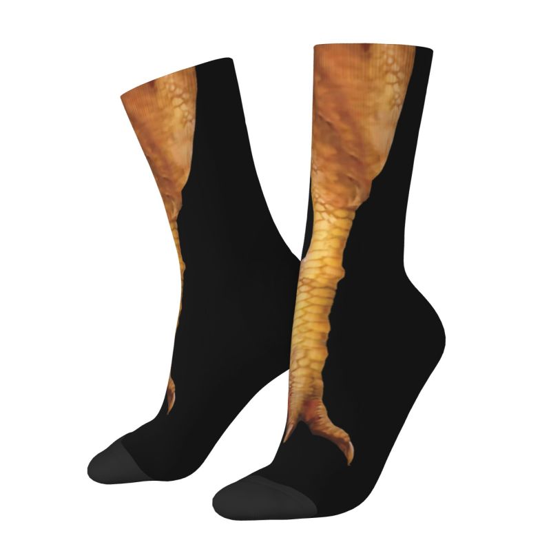 Kaus Kaki Pria Motif Cakar Aya - Dress Sock Men ulasan dan harga